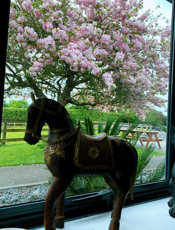 Bed and Breakfast Unique Equestrian Lifestyle Tamahere Exteriér fotografie