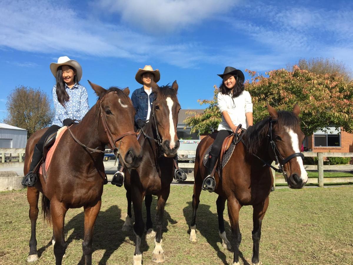 Bed and Breakfast Unique Equestrian Lifestyle Tamahere Exteriér fotografie