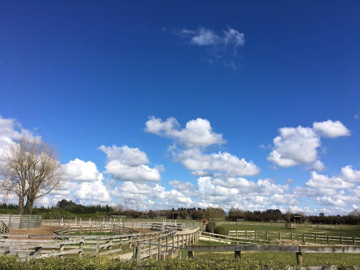 Bed and Breakfast Unique Equestrian Lifestyle Tamahere Exteriér fotografie