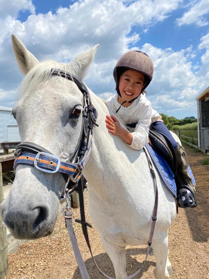 Bed and Breakfast Unique Equestrian Lifestyle Tamahere Exteriér fotografie