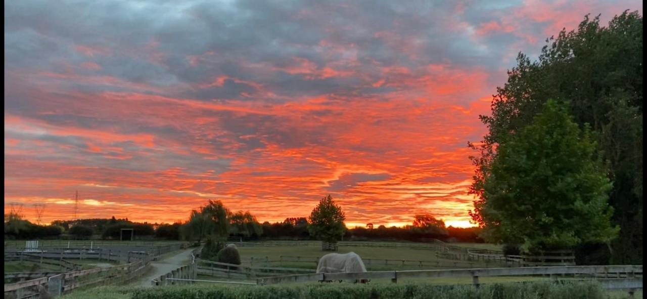 Bed and Breakfast Unique Equestrian Lifestyle Tamahere Exteriér fotografie